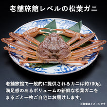 画像をギャラリービューアに読み込む, 【松】極選松葉ガニ 700g級 鳥取県産  ブランドタグ付
