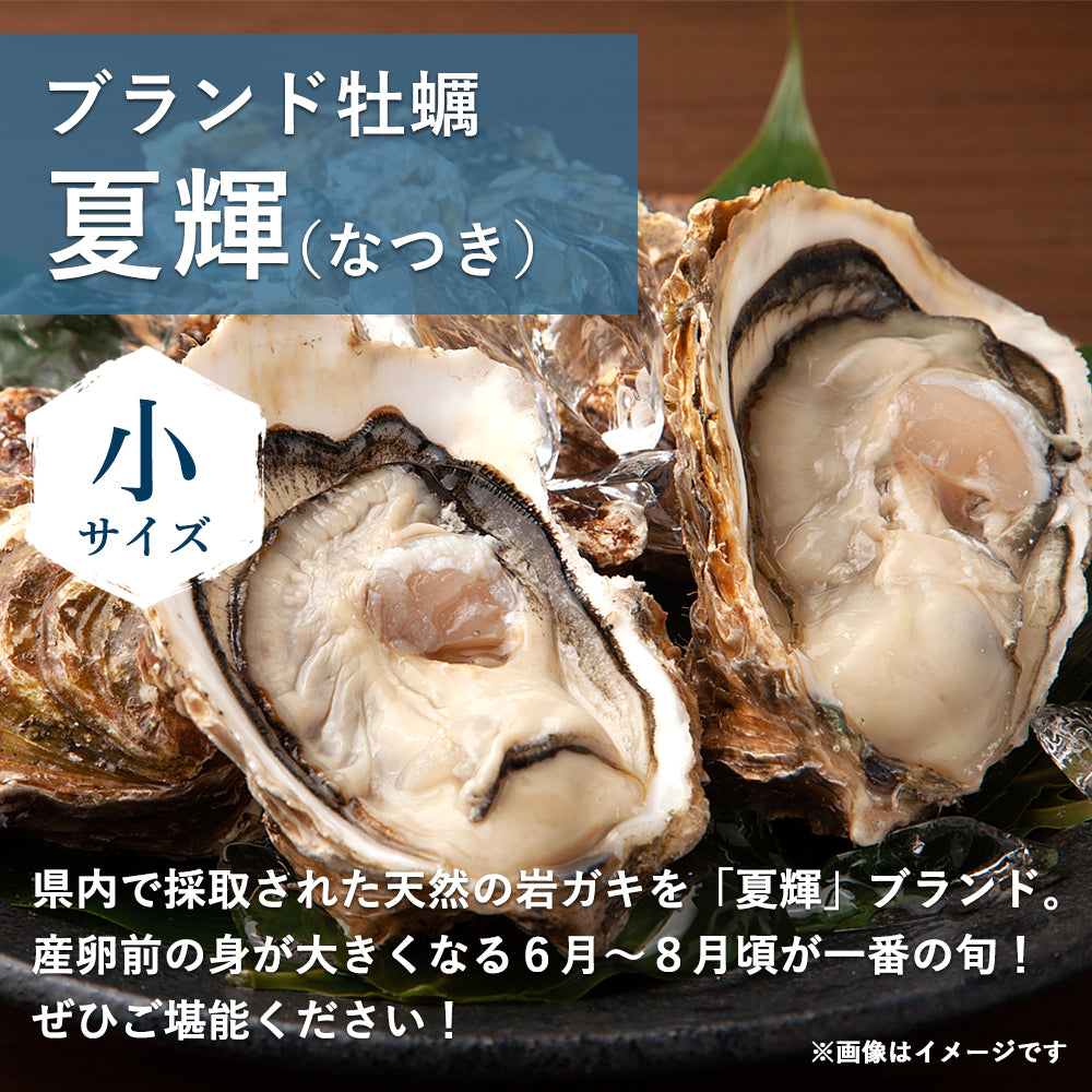 8月11日注文締切【鳥取県産】天然岩牡蠣 夏輝(ラベル無) 小サイズ（1個/250g～350g級）