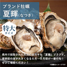 画像をギャラリービューアに読み込む, 【鳥取県産】天然岩牡蠣 夏輝(ラベル付) 特大サイズ（1個/500g級）6月10日以降発送
