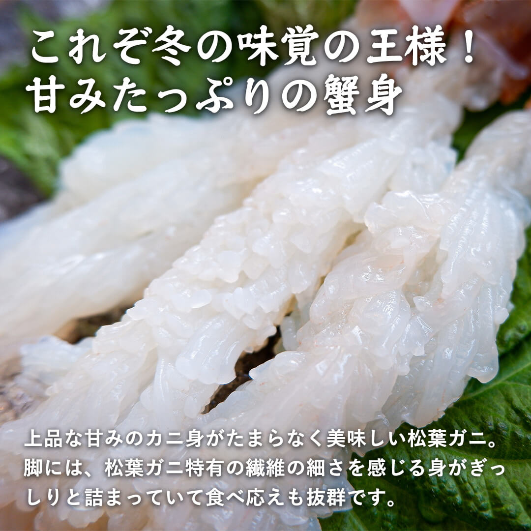 訳あり】境港産 松葉ガニ 350～440g 足折れ1本あり 12/20年内注文締切 12/22まで着日指定可 – さんチョク