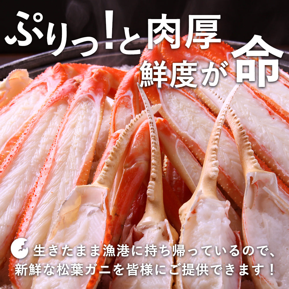 11月早割価格【極】鳥取県産 松葉ガニ 1kg級 ブランドタグ付 – さんチョク