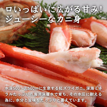 画像をギャラリービューアに読み込む, 《送料無料》【訳あり】鳥取県産  ボイル紅ズワイガニ B級 1kg(3枚入り)
