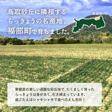 画像をギャラリービューアに読み込む, 【鳥取県産】根切り砂丘らっきょう 1kg（サイズ不選別）
