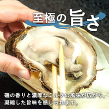 画像をギャラリービューアに読み込む, 【鳥取県産】天然岩牡蠣 夏輝(ラベル付) 特大サイズ（1個/500g級）6月10日以降発送
