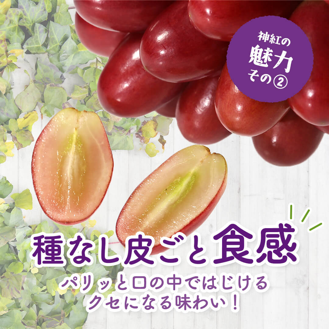 島根県産神紅2房入クール便 島根県産神紅2房入クール便