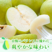 画像をギャラリービューアに読み込む, 【鳥取県倉吉市産】二十世紀梨
