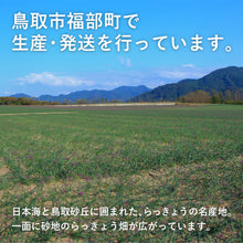 画像をギャラリービューアに読み込む, 5月25日以降順次発送【鳥取県産】根付きらっきょう
