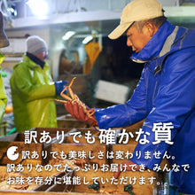 画像をギャラリービューアに読み込む, 【訳あり】 鳥取県産 松葉ガニ 1kg級
