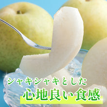 画像をギャラリービューアに読み込む, 【鳥取県倉吉市産】二十世紀梨
