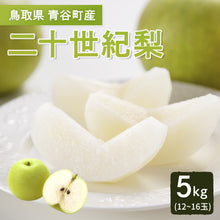 画像をギャラリービューアに読み込む, 【鳥取県青谷町産】二十世紀梨 秀品 3kg(6～10玉) ひかり農園 9月上旬頃順次発送開始予定

