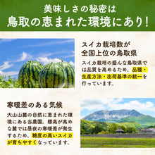 画像をギャラリービューアに読み込む, 【訳あり】鳥取県産 大玉の大谷スイカ
