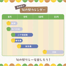 画像をギャラリービューアに読み込む, 9月14日注文締切【東光園産】二十世紀梨と新甘泉or秋甘泉のセット　4kg
