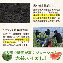 画像をギャラリービューアに読み込む, 【訳あり】鳥取県産 大玉の大谷スイカ
