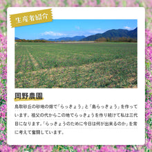 画像をギャラリービューアに読み込む, 【鳥取県産】鳥取砂丘の砂付き島らっきょう
