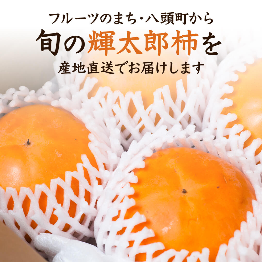 10月10日以降発送【鳥取県産】輝太郎柿 3kg(8～10玉) 進物用 – さんチョク