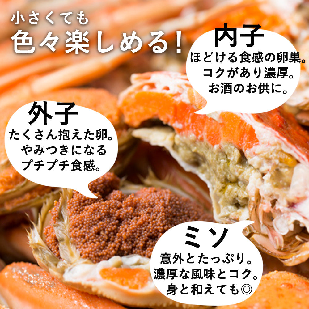 11月早割価格《大サイズ》【訳あり】鳥取県産親ガニ （セコガニ）5枚