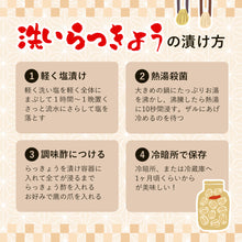 画像をギャラリービューアに読み込む, 【鳥取県福部町産】生洗いらっきょう3kg＆らっきょう酢2Lセット サイズ無選別（ML中心） 2025年6月中旬以降発送
