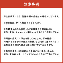 画像をギャラリービューアに読み込む, 【倉吉産】いなかのすいか（9kg前後/1玉）6月中旬頃発送開始予定
