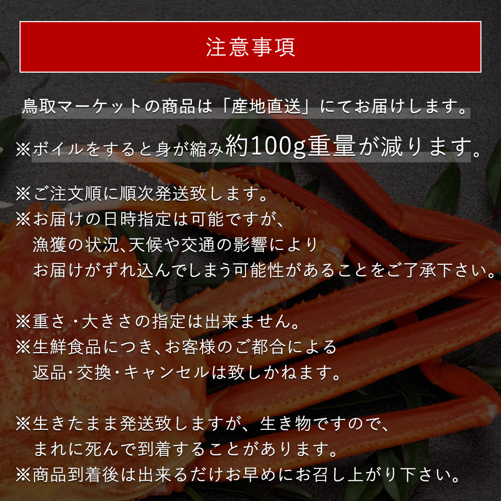 11月早割価格【特上】鳥取県産 松葉ガニ 900g級 ブランドタグ付 – さん