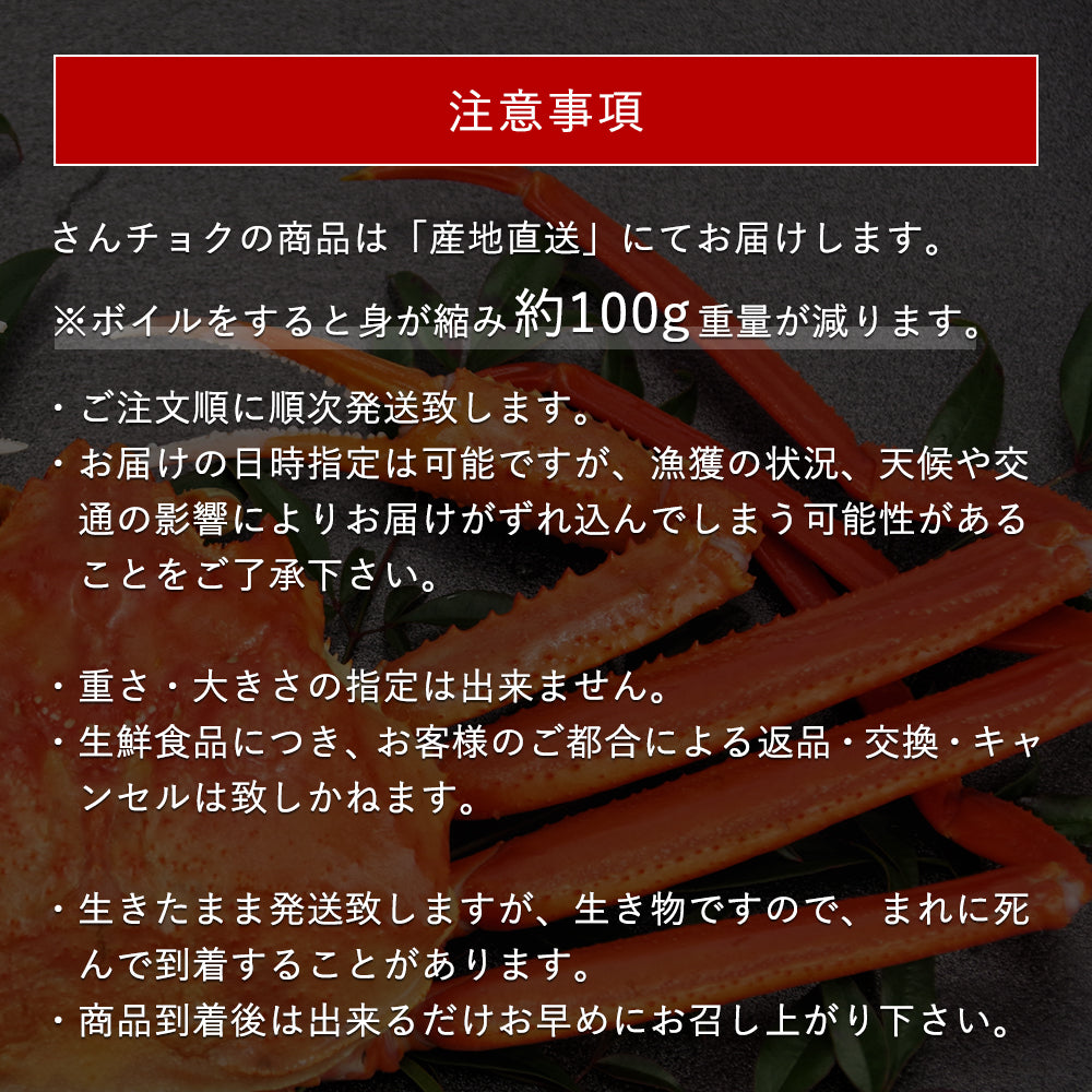 鳥取/鳥取港】＜梅＞ 極撰松葉ガニ 最高級品 500g級 ブランドタグ付