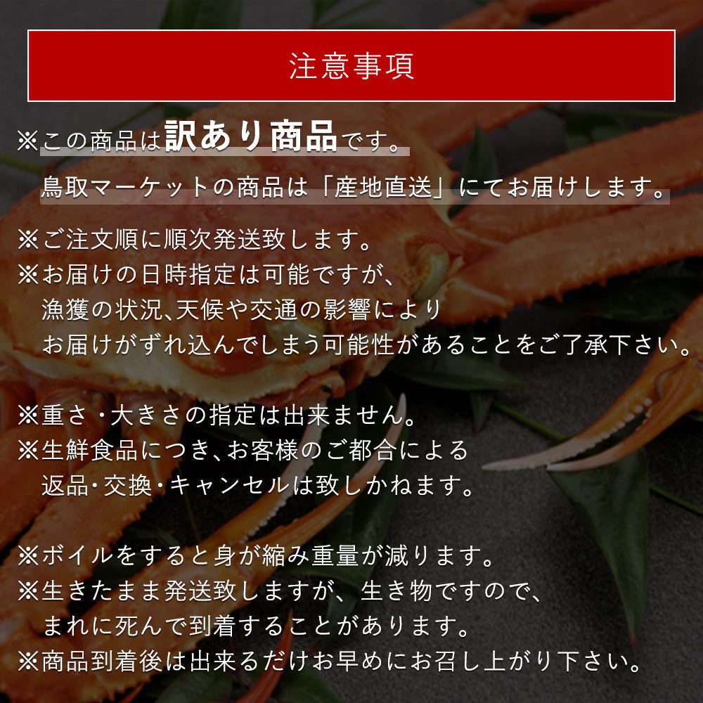 11月早割価格《中サイズ》【訳あり】鳥取県産親ガニ （セコガニ）4枚