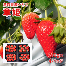 画像をギャラリービューアに読み込む, 【鳥取県産いちご】章姫 210g×4パック
