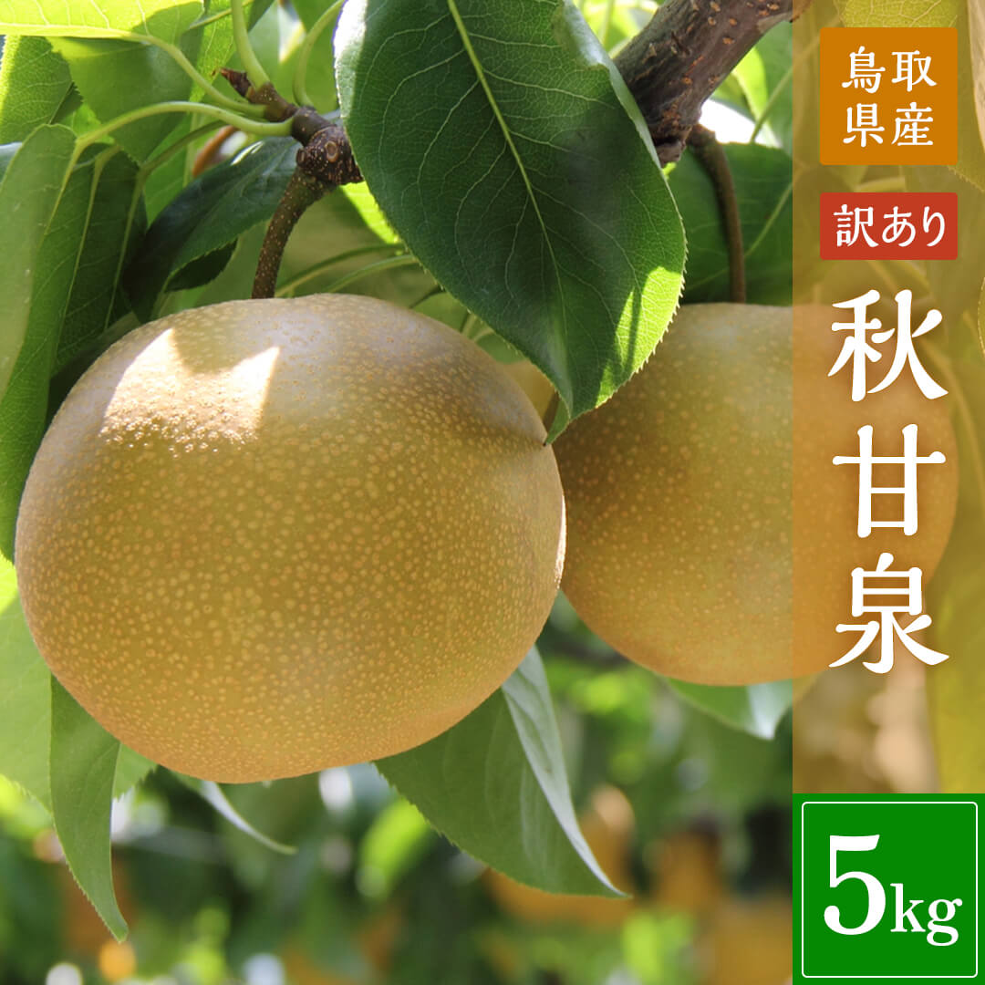 鳥取県鳥取市産】訳あり秋甘泉 5kg 農楽猫農園 9月1日以降順次発送開始
