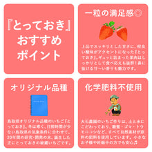 画像をギャラリービューアに読み込む, 鳥取県オリジナルいちご とっておき 200g×4パック
