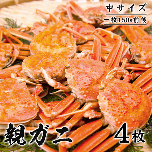 《中サイズ》鳥取県産親ガニ （セコガニ）A級(贈答用) 4枚 12/26年内注文締切 12/28まで着日指定可