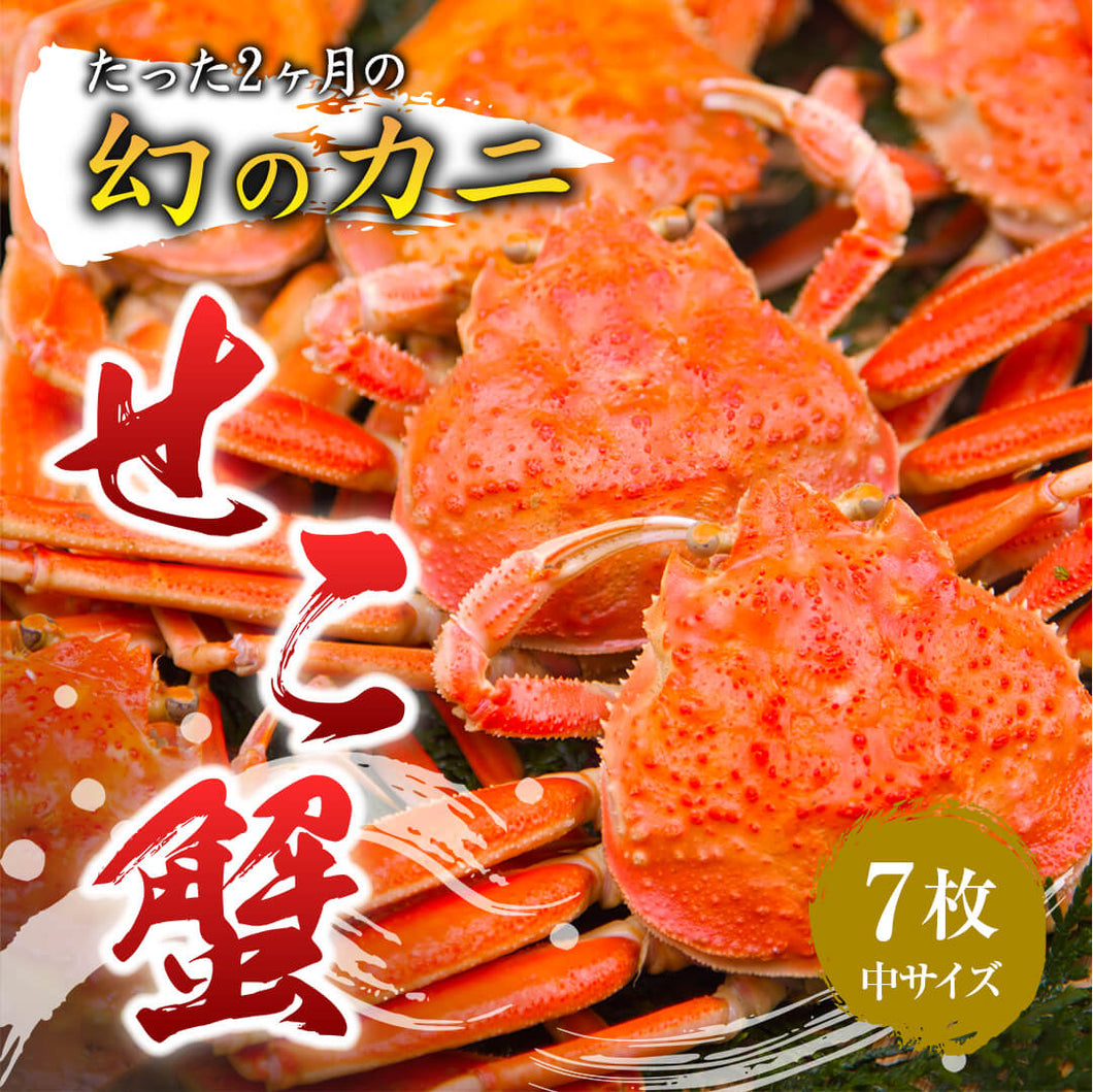 親ガニ(セコガニ) 鳥取県網代港産 中サイズ  7枚 12/20年内注文締切 12/23まで着日指定可