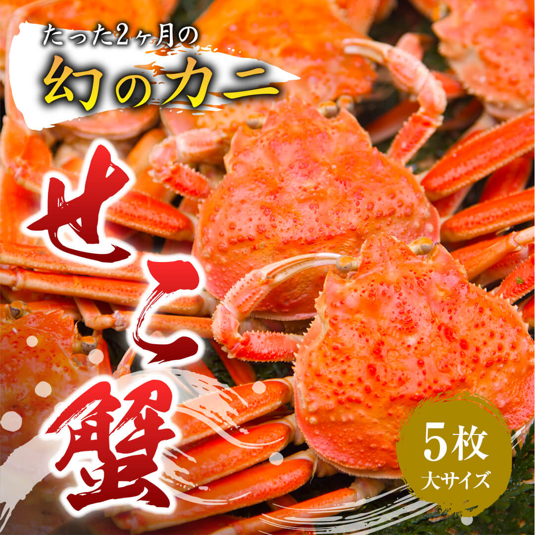 鳥取/網代港】親ガニ(セコガニ) 大サイズ 180g 年内注文締切は12月20日