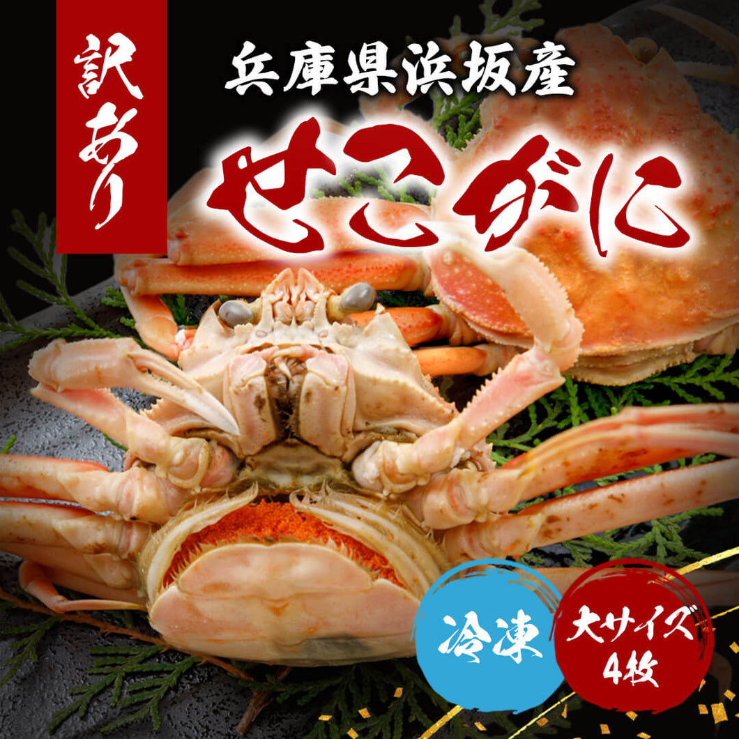 【訳あり】親ガニ(冷凍) 兵庫県浜坂産 大サイズ 4枚 12/30年内注文締切 12/31まで着日指定可