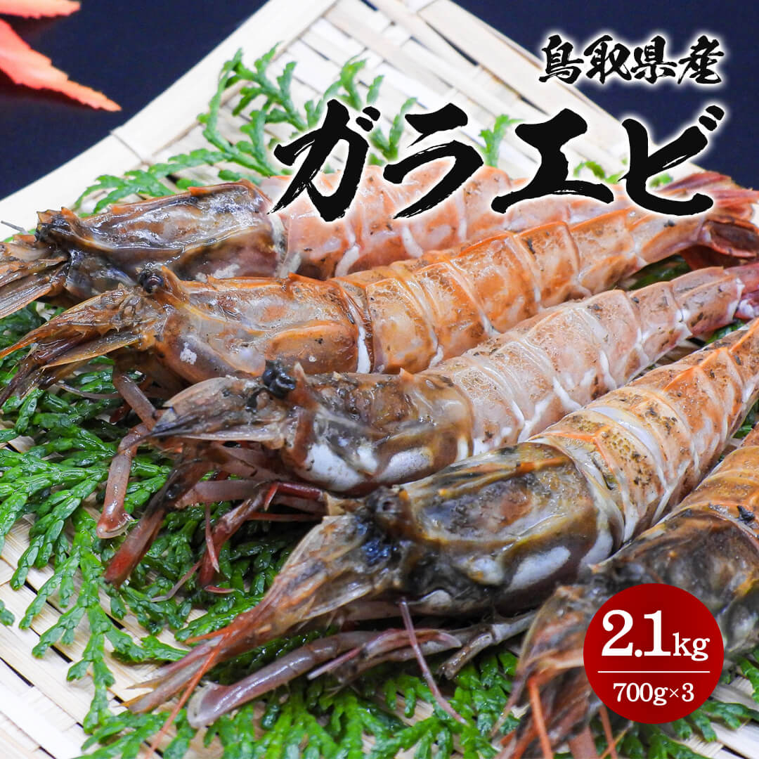 えびページ 鳥取県産】ガラエビ サイズ不選別 – さんチョク