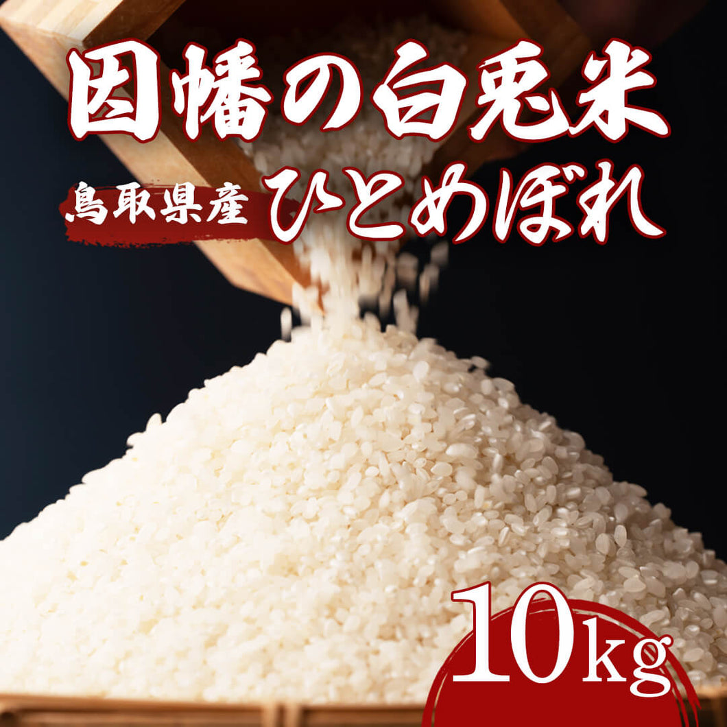 【鳥取市産】因幡の白兎米 ひとめぼれ 令和6年度産 精米済