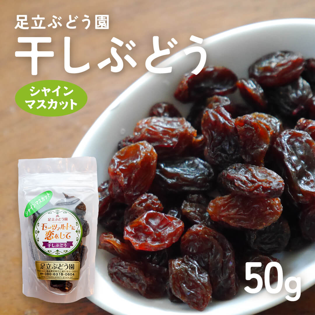 格安【訳あり】シャインマスカットレーズン 島根県産】シャインマスカット干しぶどう 50g – さんチョク