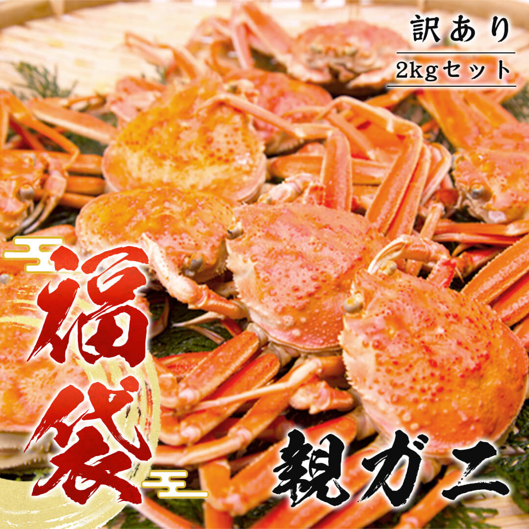 鳥取/鳥取港】＜訳あり福袋＞親ガニ(セコガニ) A級(訳あり) 足折れ1本