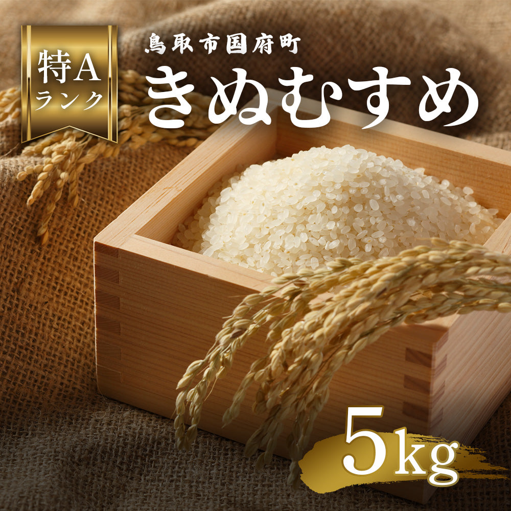 鳥取県産 令和6年 きぬむすめ 精米30キロ