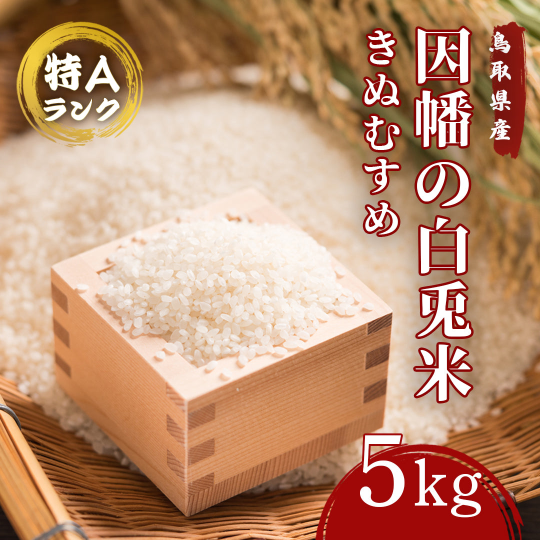 鳥取市産】因幡の白兎米 きぬむすめ 令和6年度産 精米済 – さんチョク