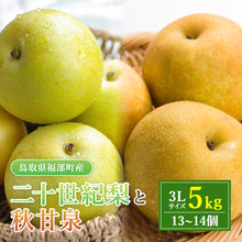 画像をギャラリービューアに読み込む, 【鳥取県福部町産】二十世紀梨と秋甘泉のミックスセット 秀品 東光園 9月下旬以降発送

