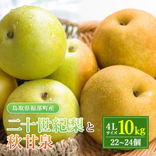 画像をギャラリービューアに読み込む, 【鳥取県福部町産】二十世紀梨と秋甘泉のミックスセット 秀品 東光園 9月下旬以降発送
