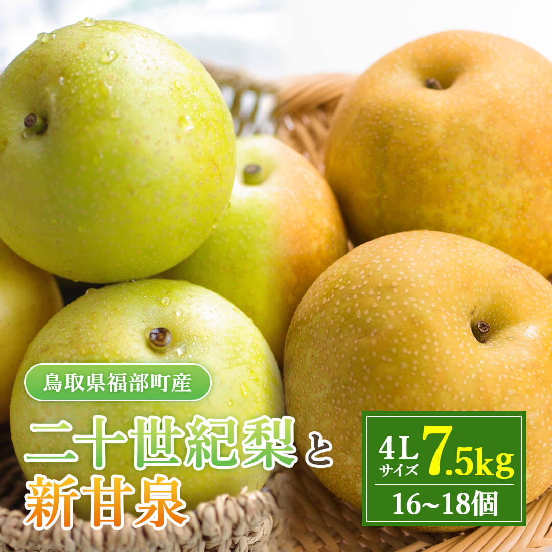 鳥取県福部町産】二十世紀梨と新甘泉のミックスセット 秀品 東光