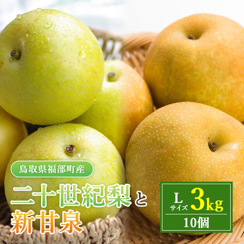 【鳥取県福部町産】二十世紀梨と新甘泉のミックスセット 秀品 東光園 9月上旬以降発送