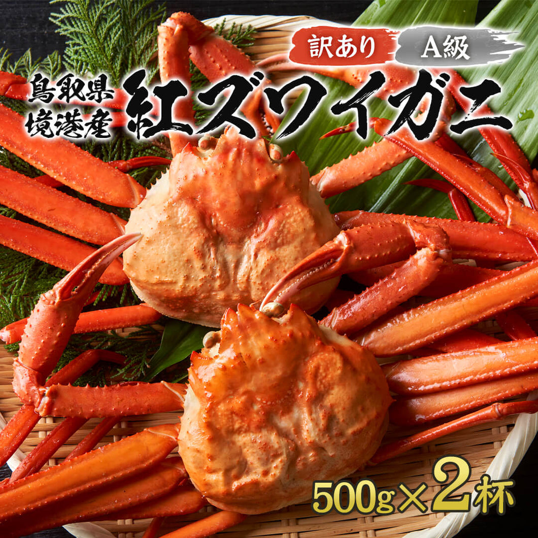 10月1日以降順次発送【訳あり】鳥取県産  ボイル 紅ズワイガニ A級(訳あり) 1kg箱詰め(約500g×2杯)