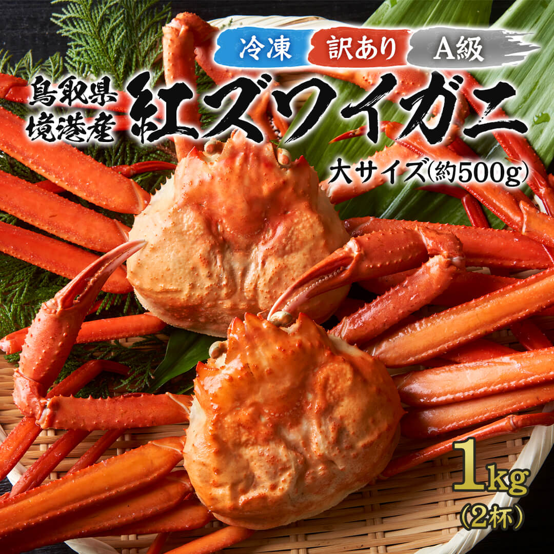 【訳あり】鳥取県産 ボイル 紅ズワイガニ A級(訳あり) 大サイズ 1kg箱詰めセット(約500g×2杯) 12/16年内注文締切 12/2 –  さんチョク