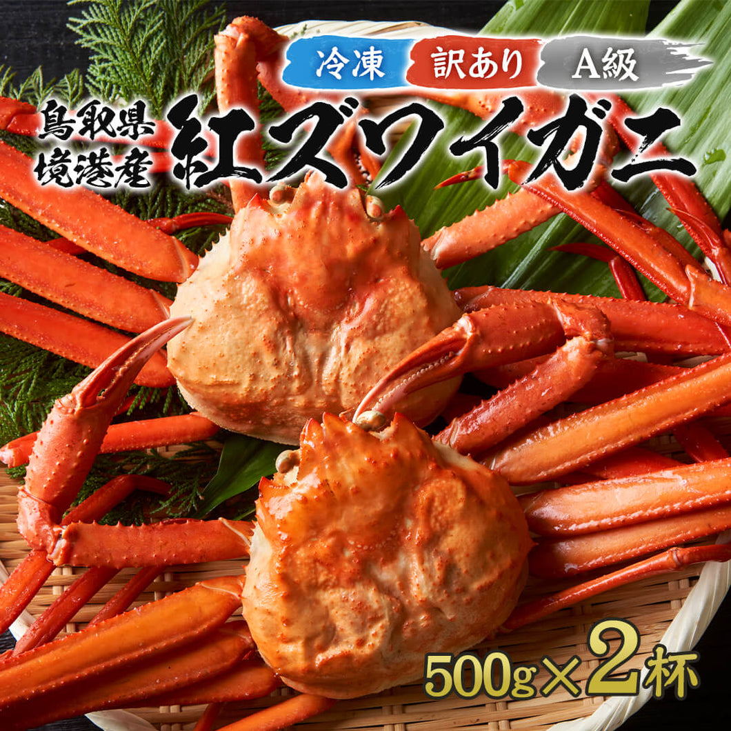 10月1日以降順次発送《着日指定可》【訳あり】鳥取県産  ボイル冷凍 紅ズワイガニ A級(訳あり)  1kg箱詰め(約500g×2杯)