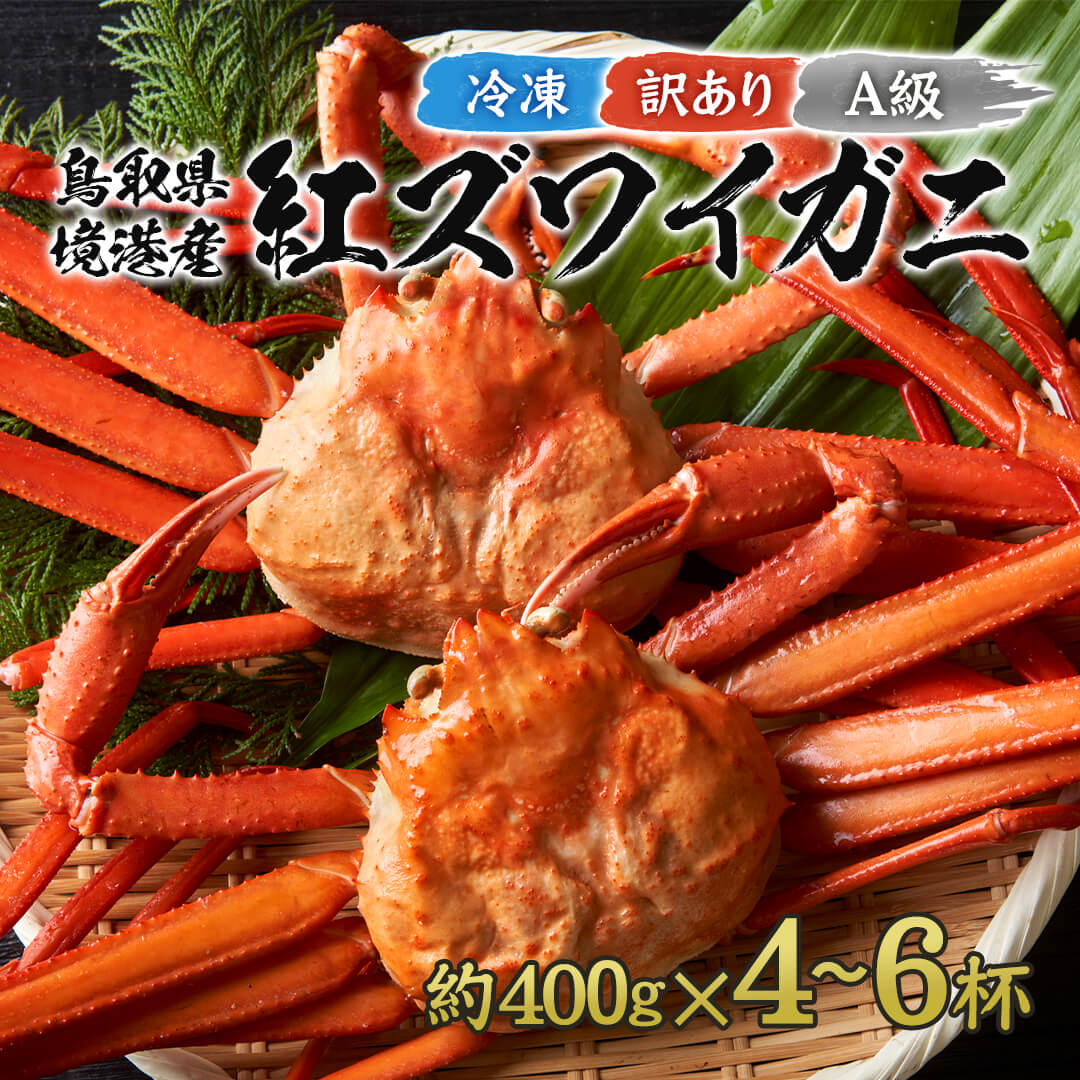 訳あり】鳥取県産 ボイル 紅ズワイガニ A級(訳あり) 大サイズ 1kg箱詰めセット(約500g×2杯) – さんチョク