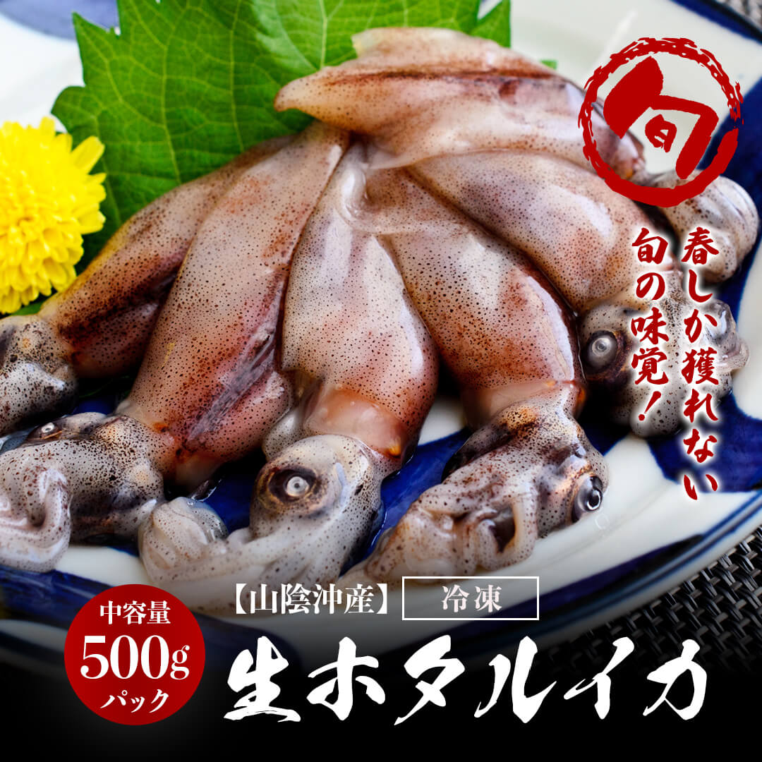 山陰沖産】生ホタルイカ 新物（冷凍） 中容量 500gパック – さんチョク