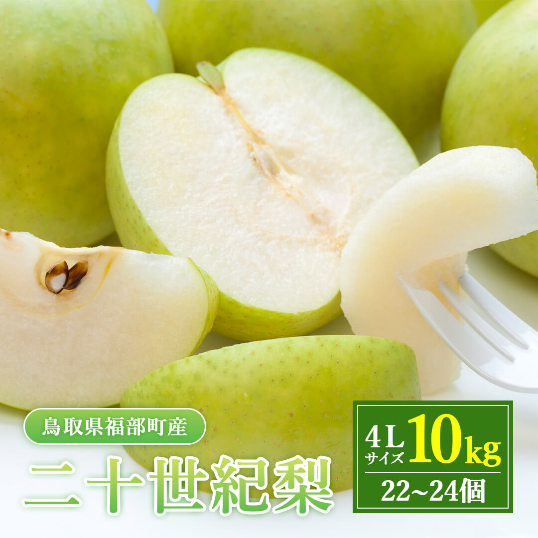 9月20日注文締切【東光園産】二十世紀梨 10kg – さんチョク 9月20日注文締切【東光園産】二十世紀梨 10kg – さんチョク
