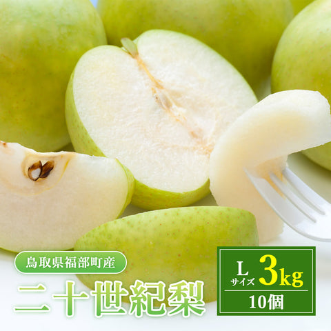 【鳥取県福部町産】二十世紀梨 秀品 東光園 8月下旬以降順次発送