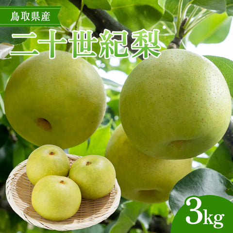【鳥取県八頭郡】二十世紀梨 赤秀 秀品 まる大農園 8月下旬以降順次発送